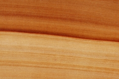 Wood Species