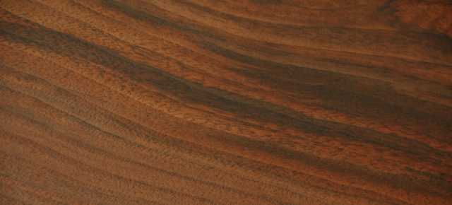 Western_Walnut